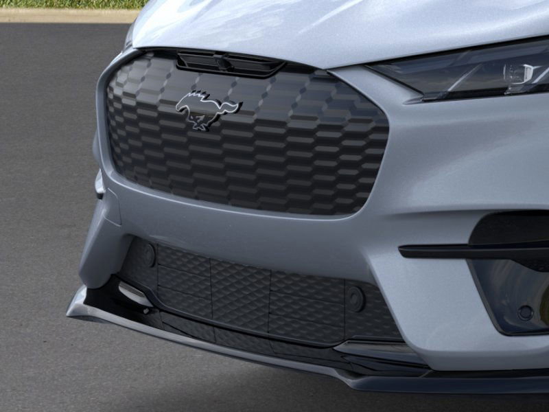 2025 Ford Mustang Mach-E GT photo 15