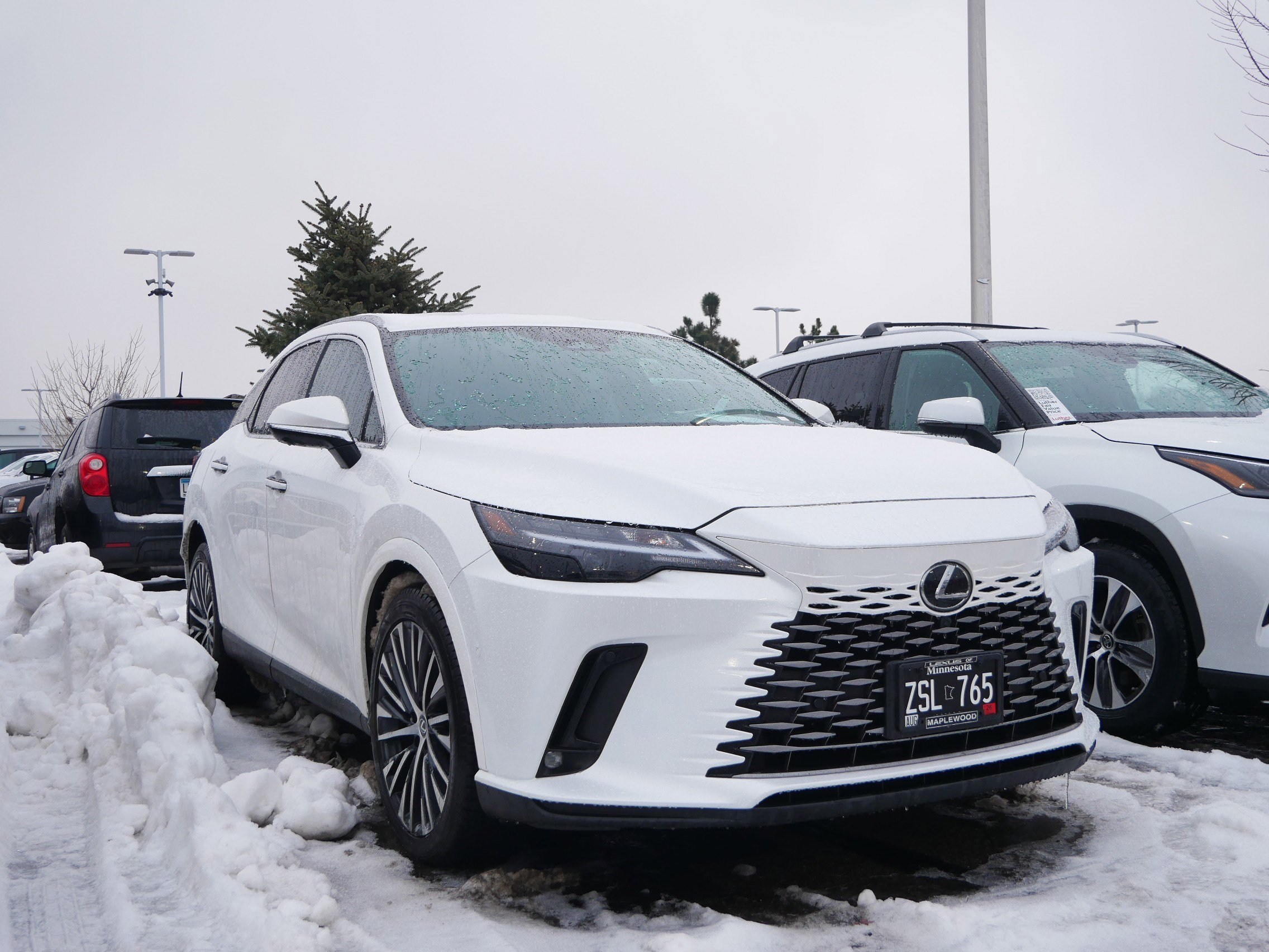 2023 Lexus RX 350's photo