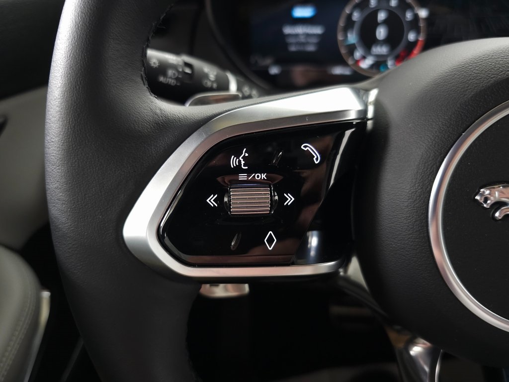 2024 JAGUAR PACE P250 - Image 19