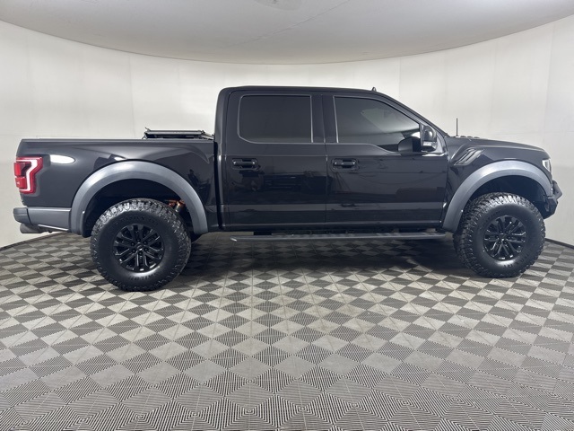 2019 Ford F-150 Raptor photo 2