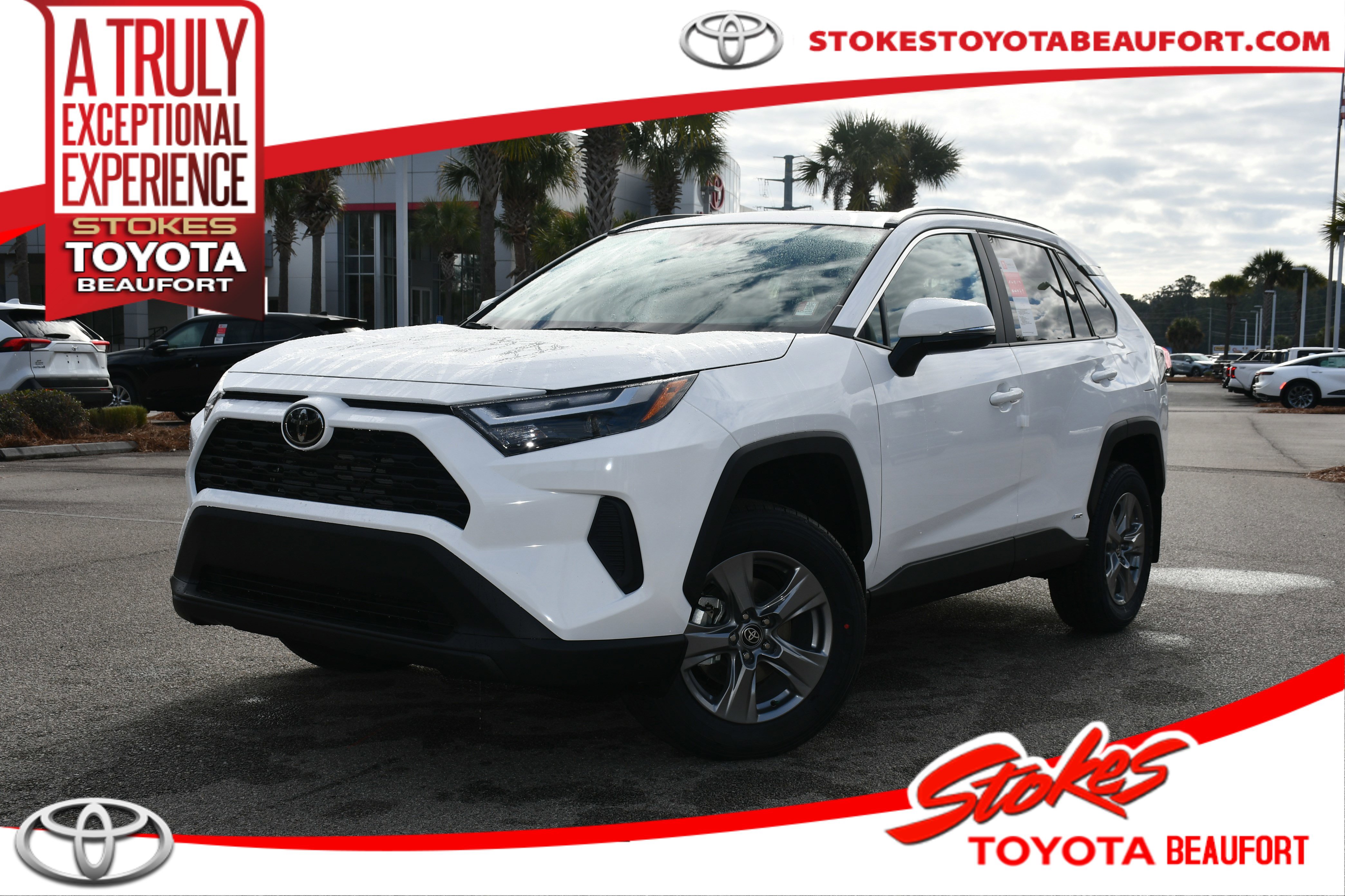 2025 Toyota RAV4 XLE's photo