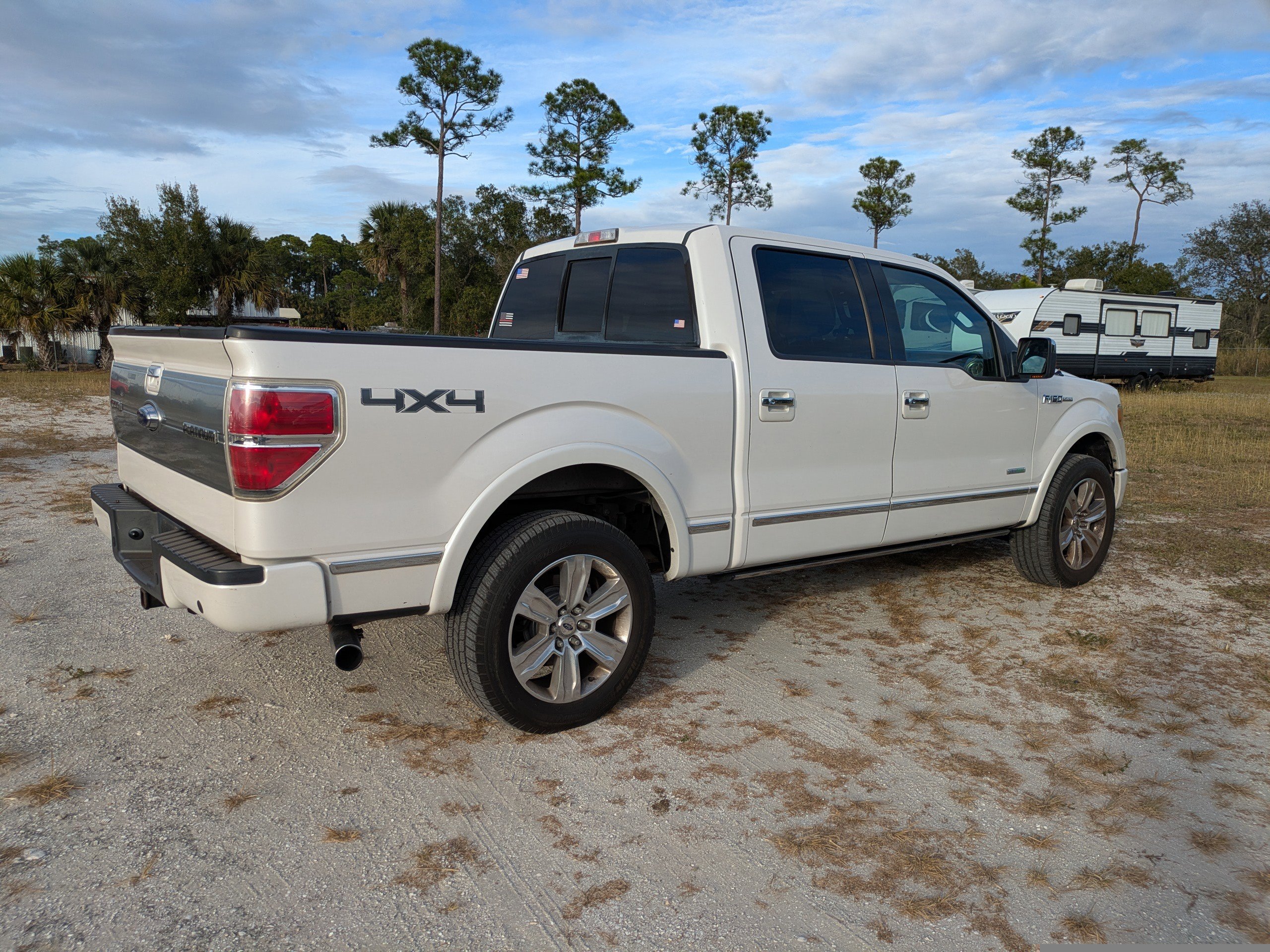 2012 Ford F-150 Platinum photo 4