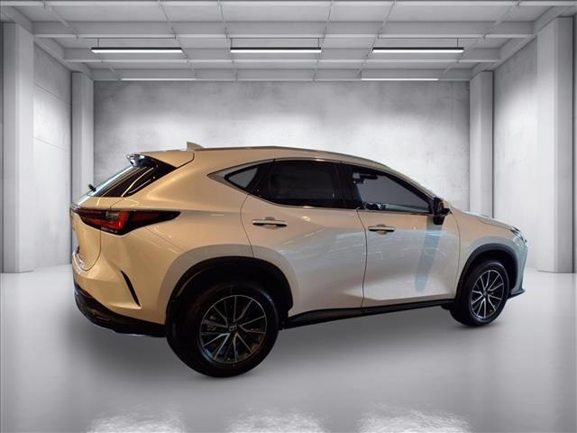 2025 Lexus NX 350 Luxury AWD photo 2