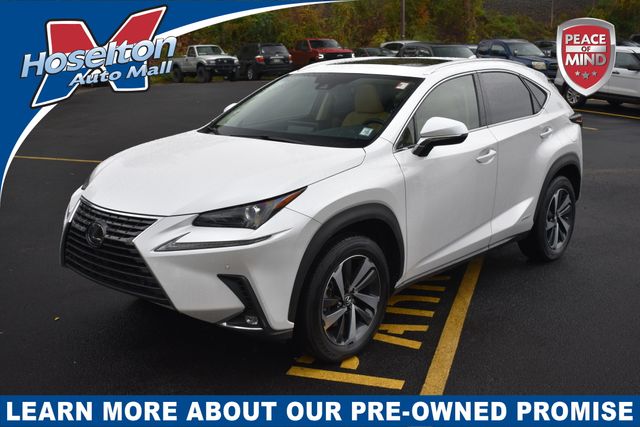 2021 Lexus NX Hybrid 300h's photo