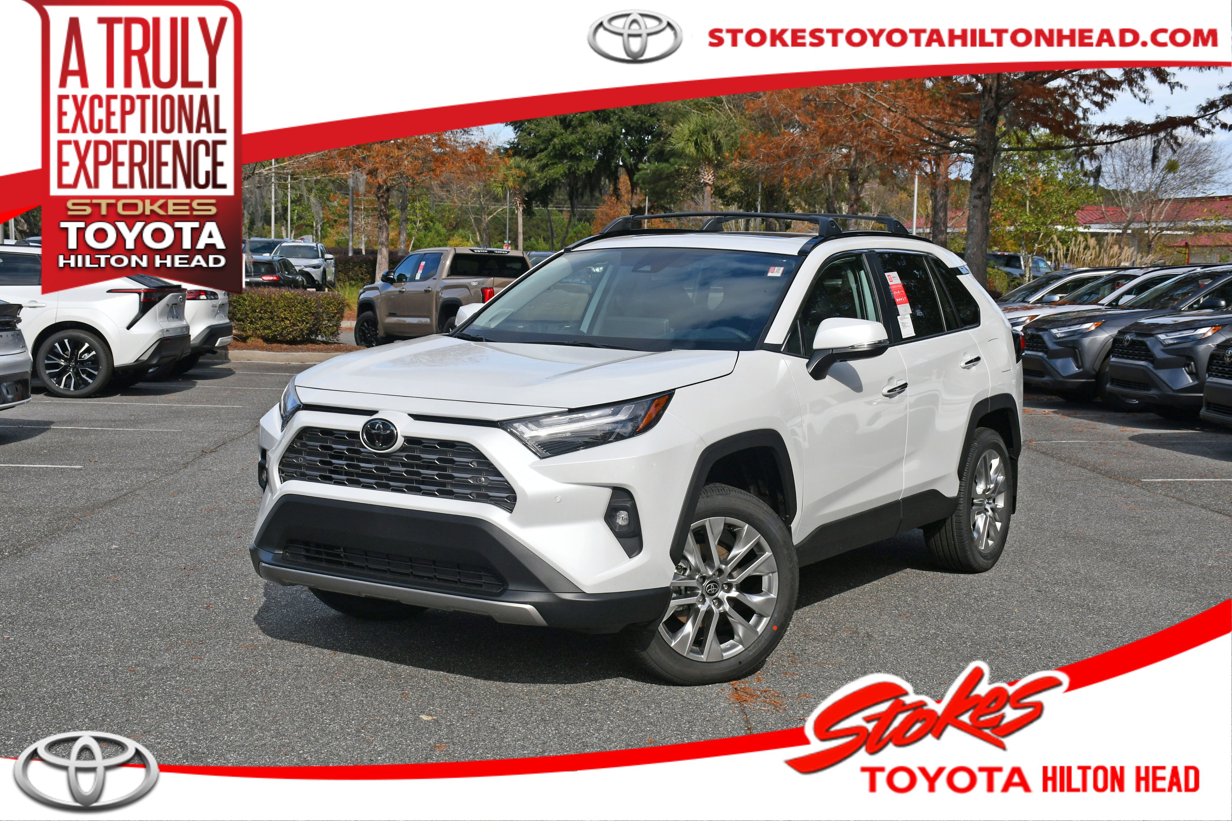 2025 Toyota RAV4 Limited's photo