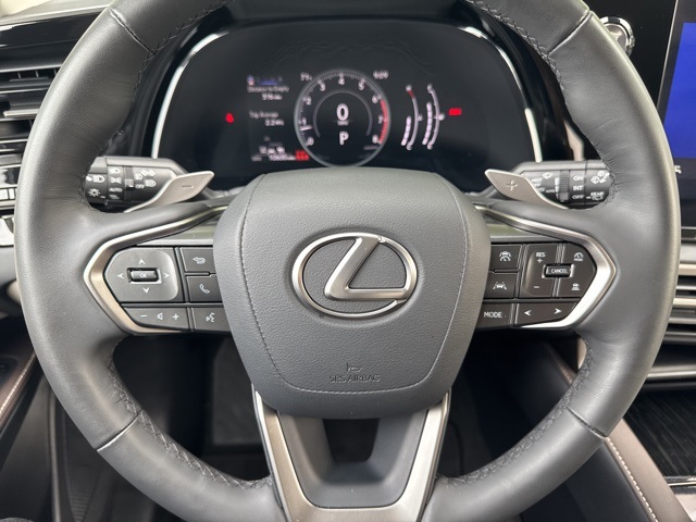 2024 Lexus RX 350 photo 25