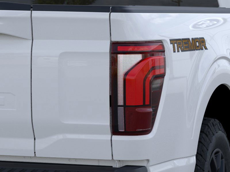 2025 FORD F-150 - Image 20