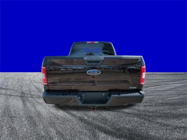 2019 Ford F-150 XL photo 3