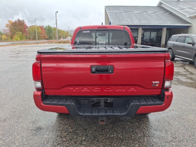 2019 Toyota Tacoma TRD Sport photo 4