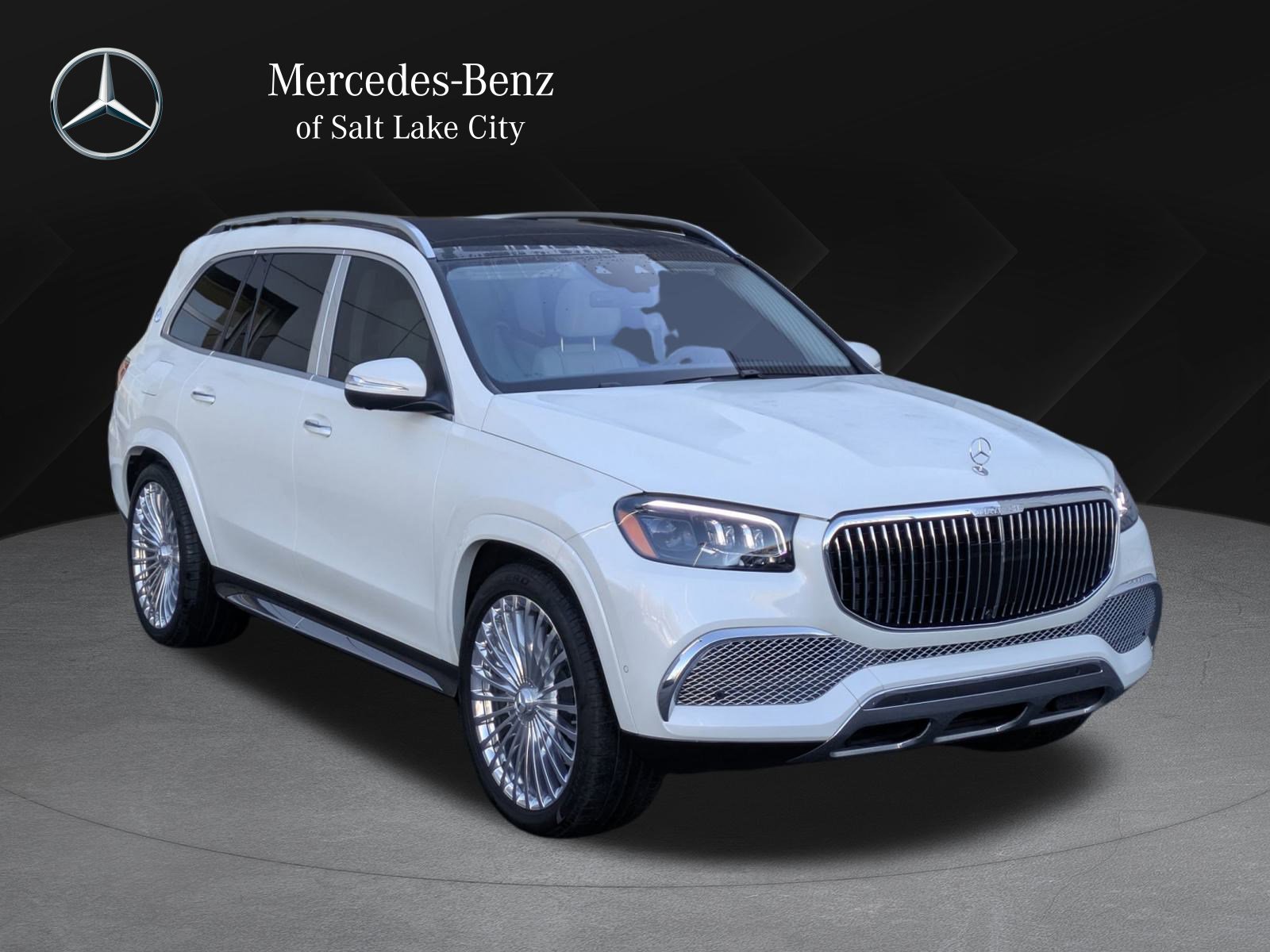 2023 Mercedes-Benz GLS Base's photo