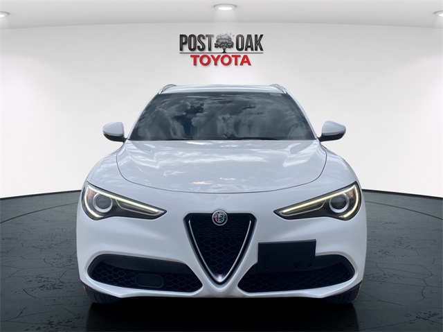2019 Alfa Romeo Stelvio Base photo 2