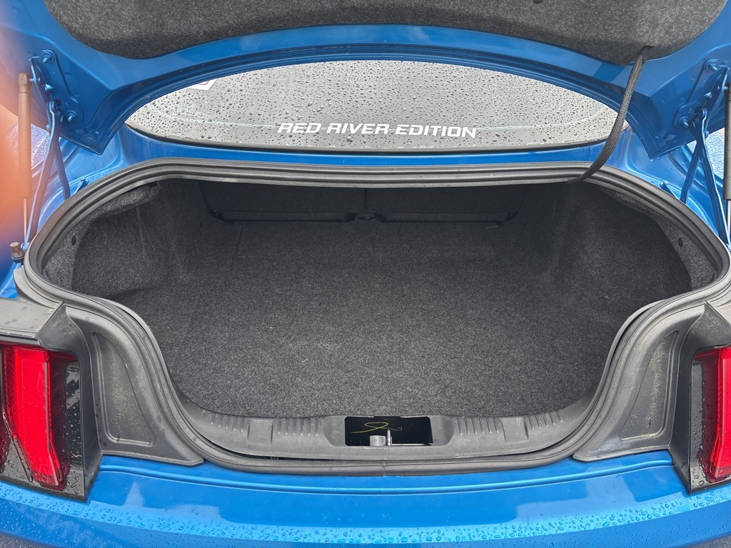 2020 Ford Mustang EcoBoost photo 4
