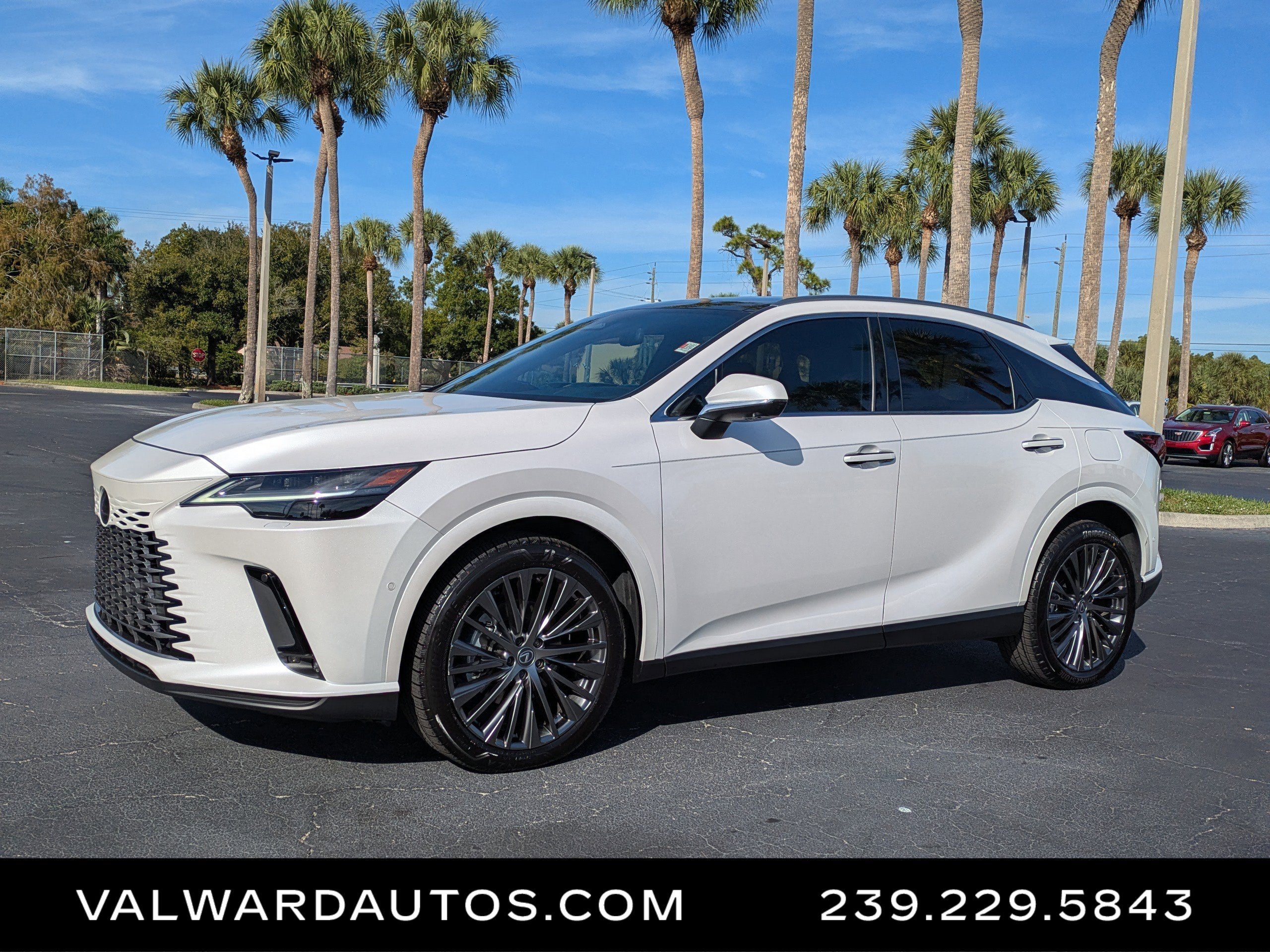 2024 Lexus RX 350's photo
