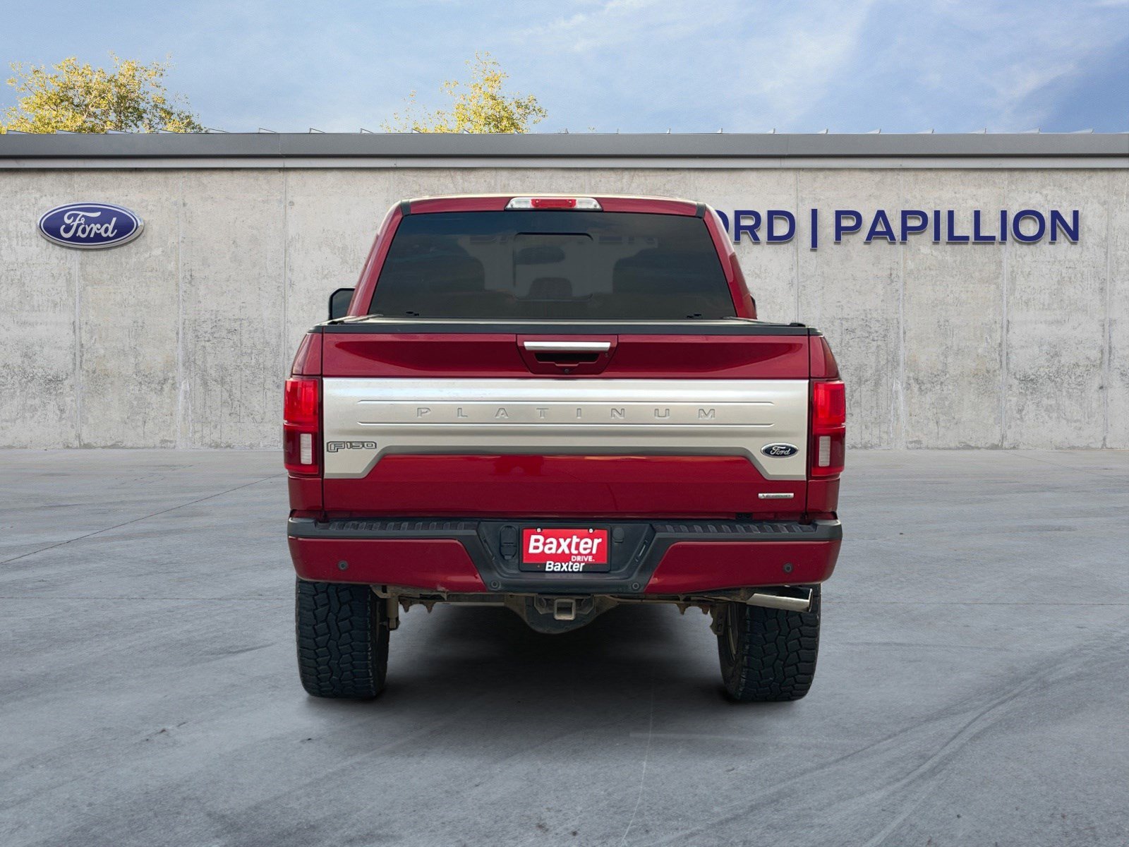 2019 Ford F-150 Platinum photo 4