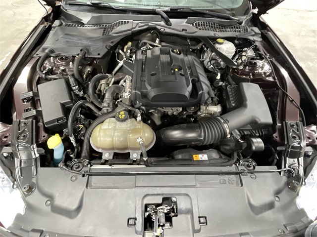 2018 Ford Mustang EcoBoost photo 21