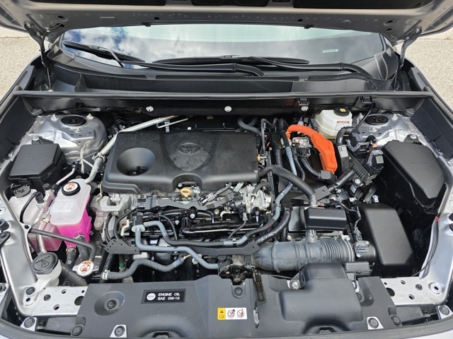 2024 Toyota RAV4 Hybrid XLE photo 24