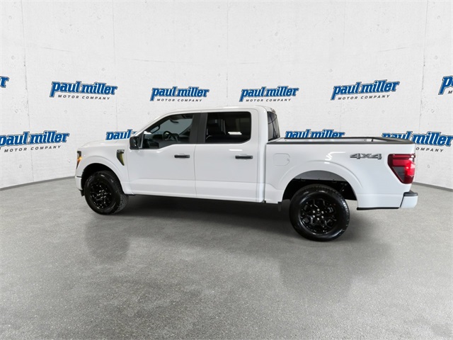 2025 Ford F-150 STX photo 8