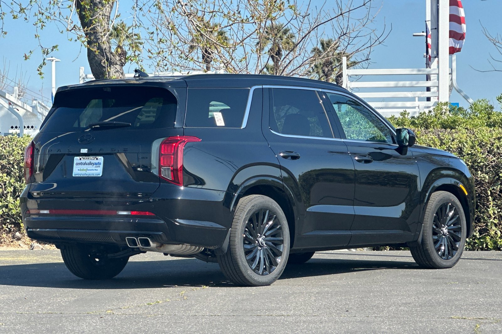 2025 Hyundai Palisade Calligraphy photo 2