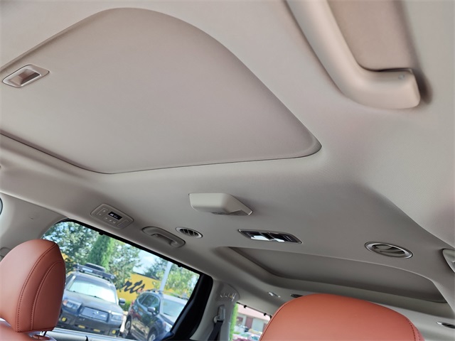 2026 Kia Carnival SX photo 28