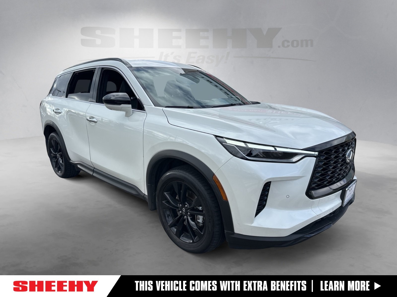 2025 INFINITI QX60 LUXE's photo