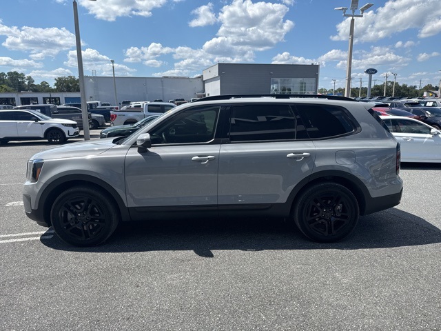 2025 Kia Telluride EX X-Line photo 5
