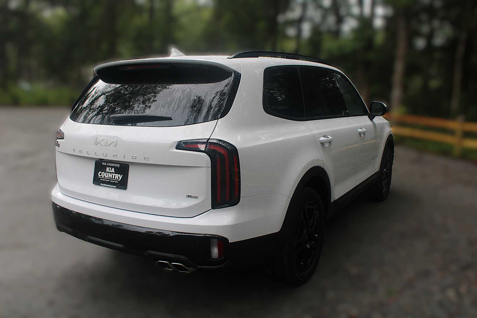 2025 Kia Telluride SX Prestige X-Line photo 11