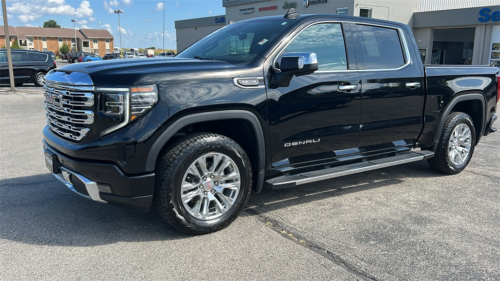 2024 Gmc Sierra 1500 Denali photo 2