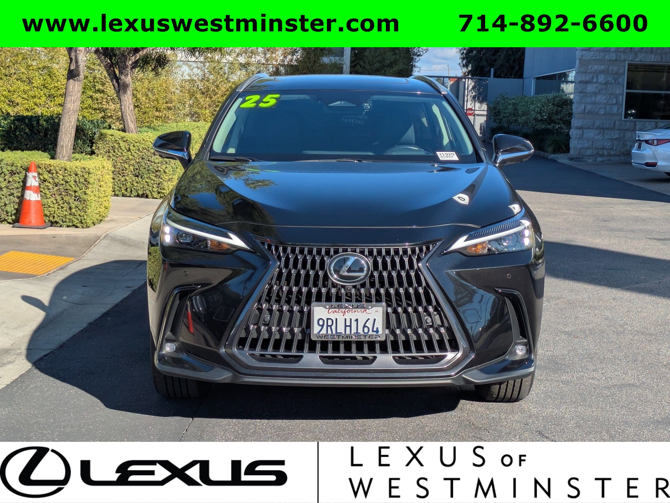 2025 Lexus NX 350h Premium photo 2