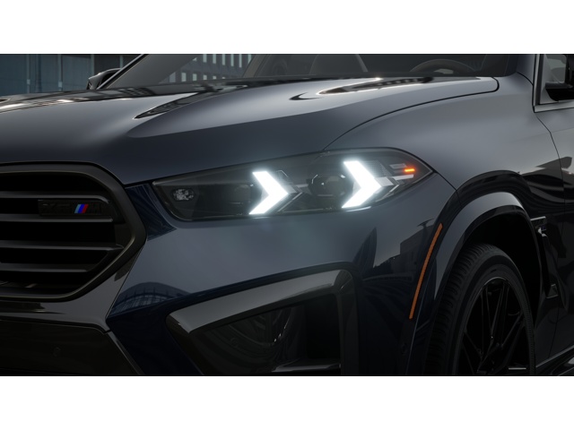 2026 Bmw X6 photo 6