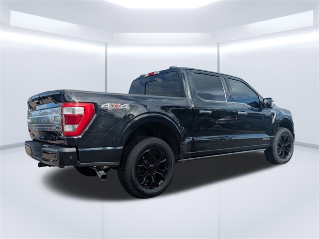 2021 Ford F-150 Platinum photo 3