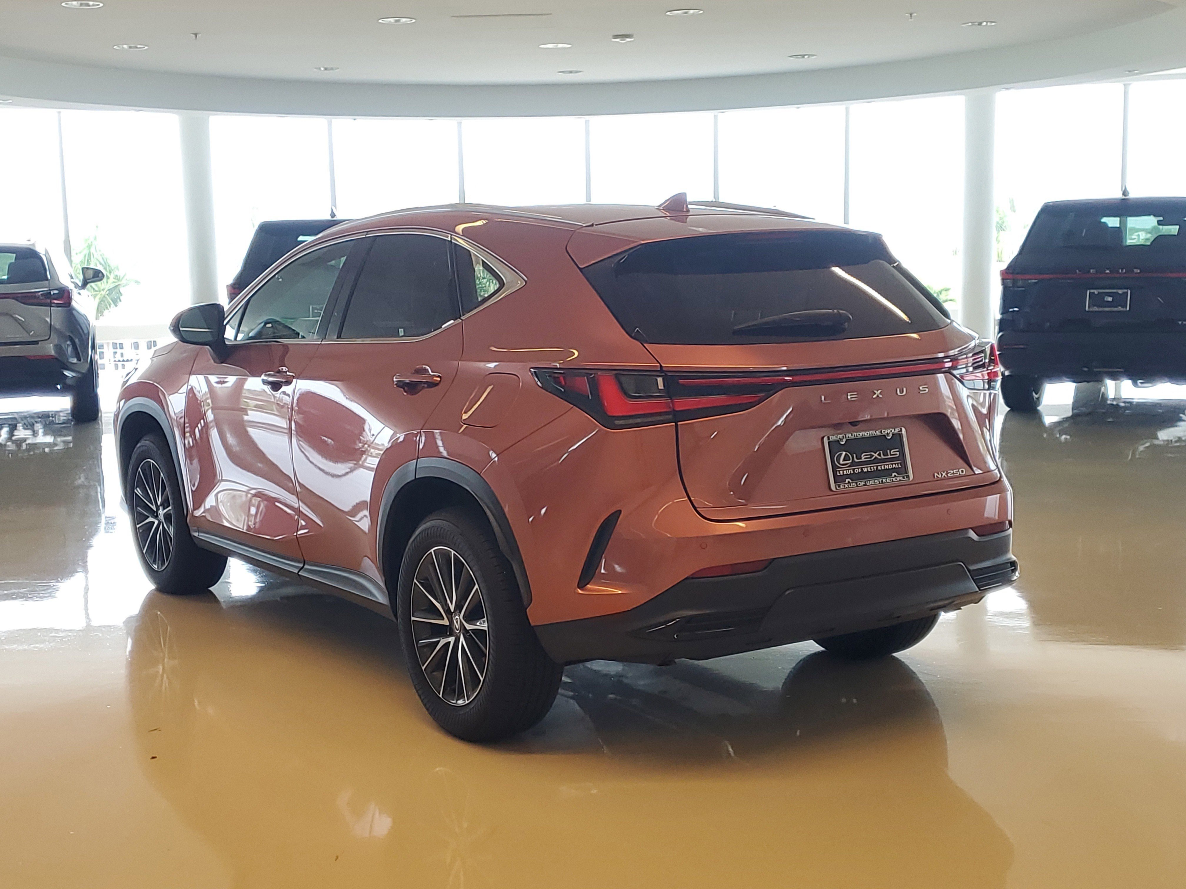 2025 Lexus NX 250 photo 8
