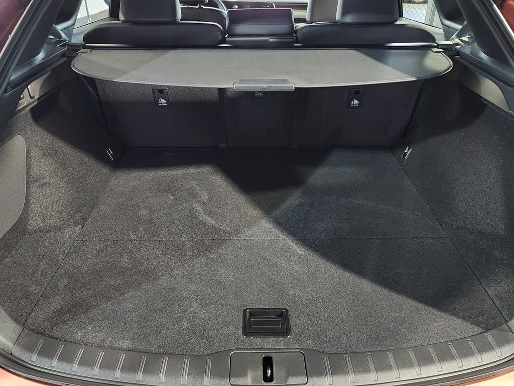 2025 Lexus RX 350 photo 24