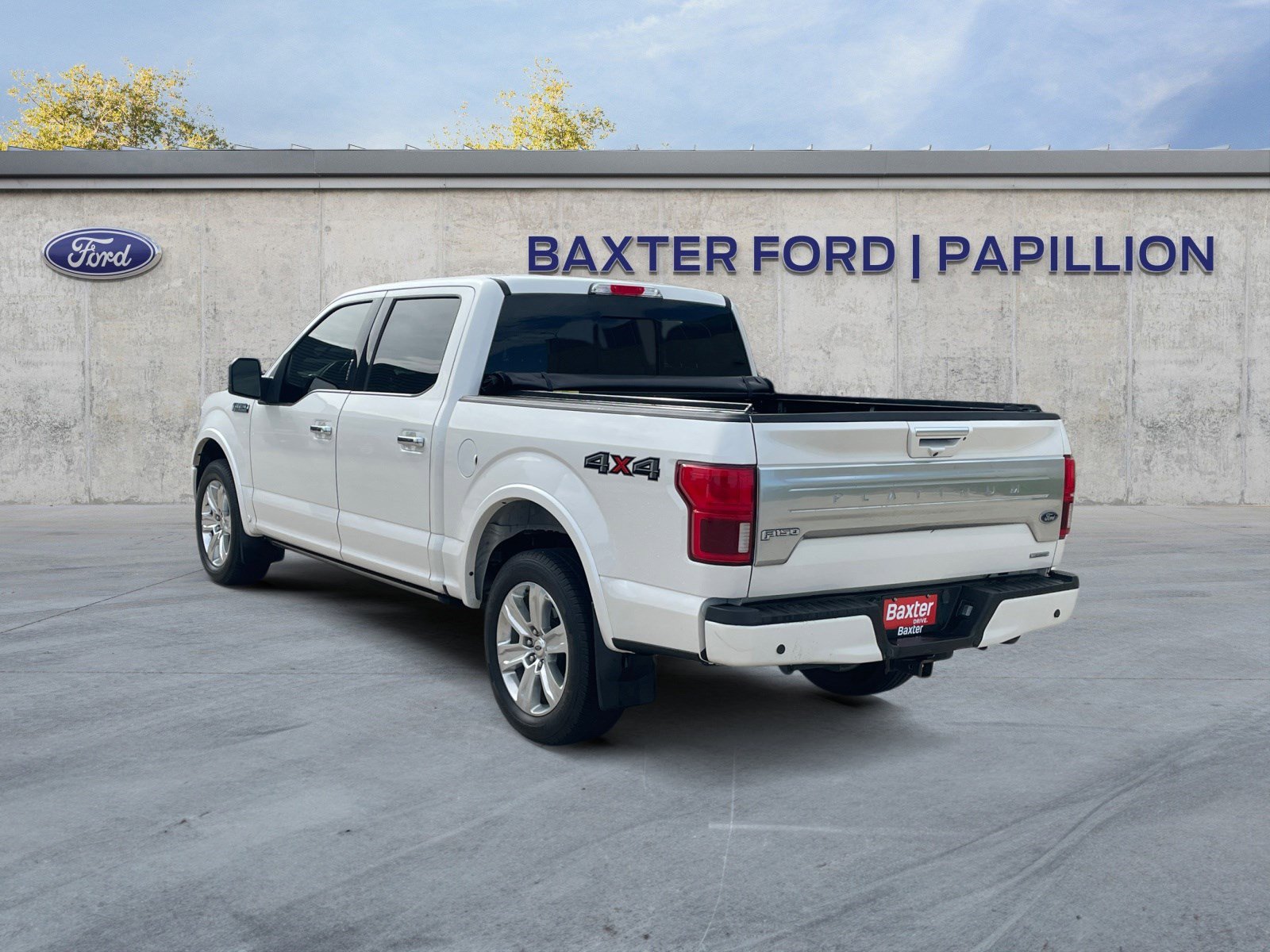 2019 Ford F-150 Platinum photo 3