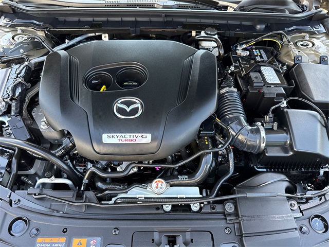 2024 Mazda Mazda3 2.5 Carbon Turbo photo 10