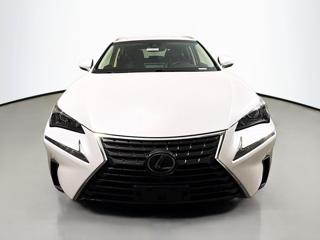 2019 Lexus NX 300 Luxury photo 2