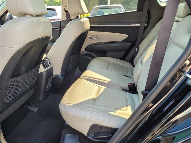 2024 Hyundai Tucson Limited photo 6