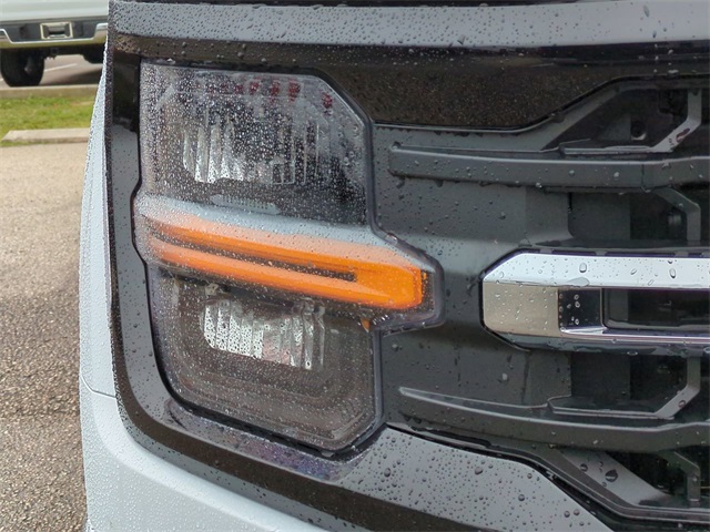 2025 Ford F-150 XLT photo 9