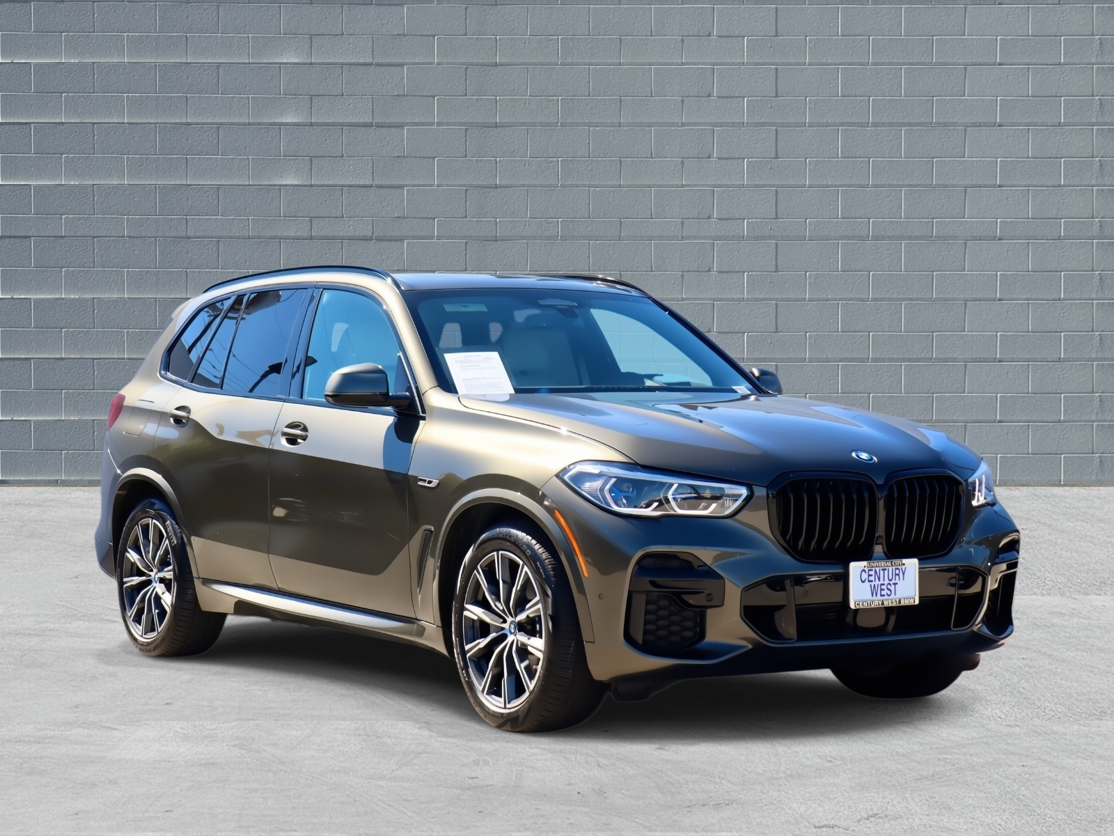 2023 BMW X5 45e's photo