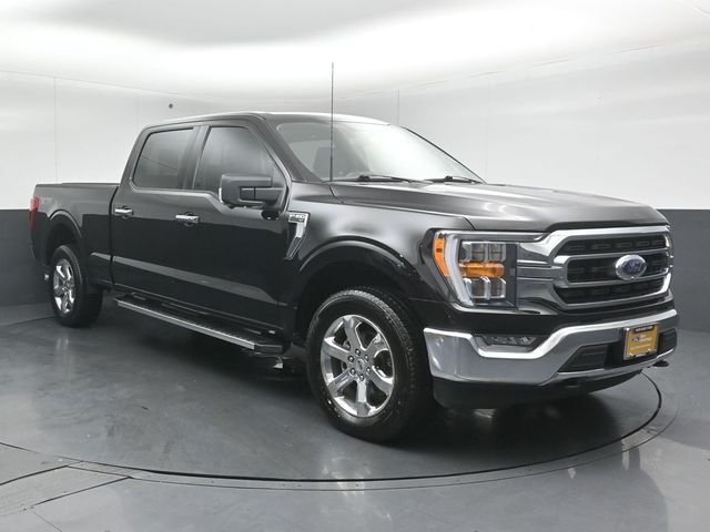 2023 FORD F-150 - Image 1