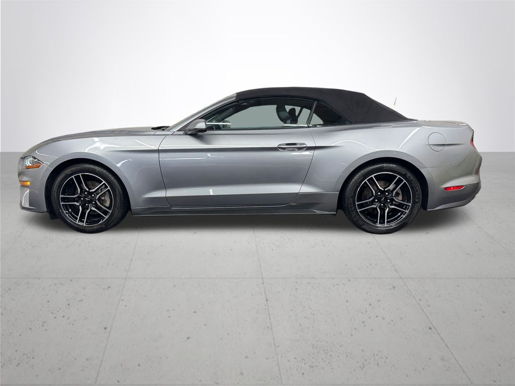 2023 Ford Mustang EcoBoost Premium photo 2