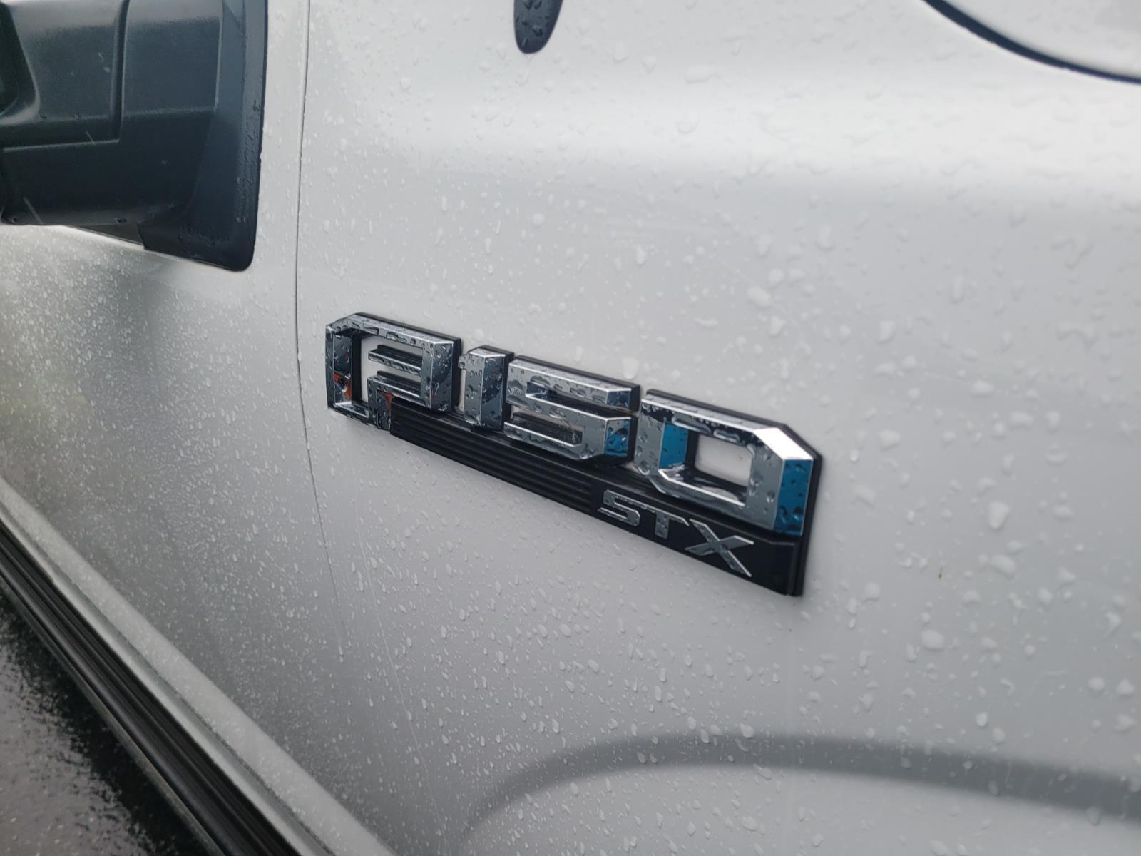 2019 Ford F-150 XL photo 3