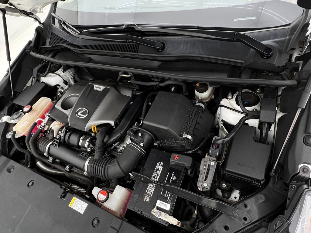 2016 Lexus NX 200t Luxury photo 30
