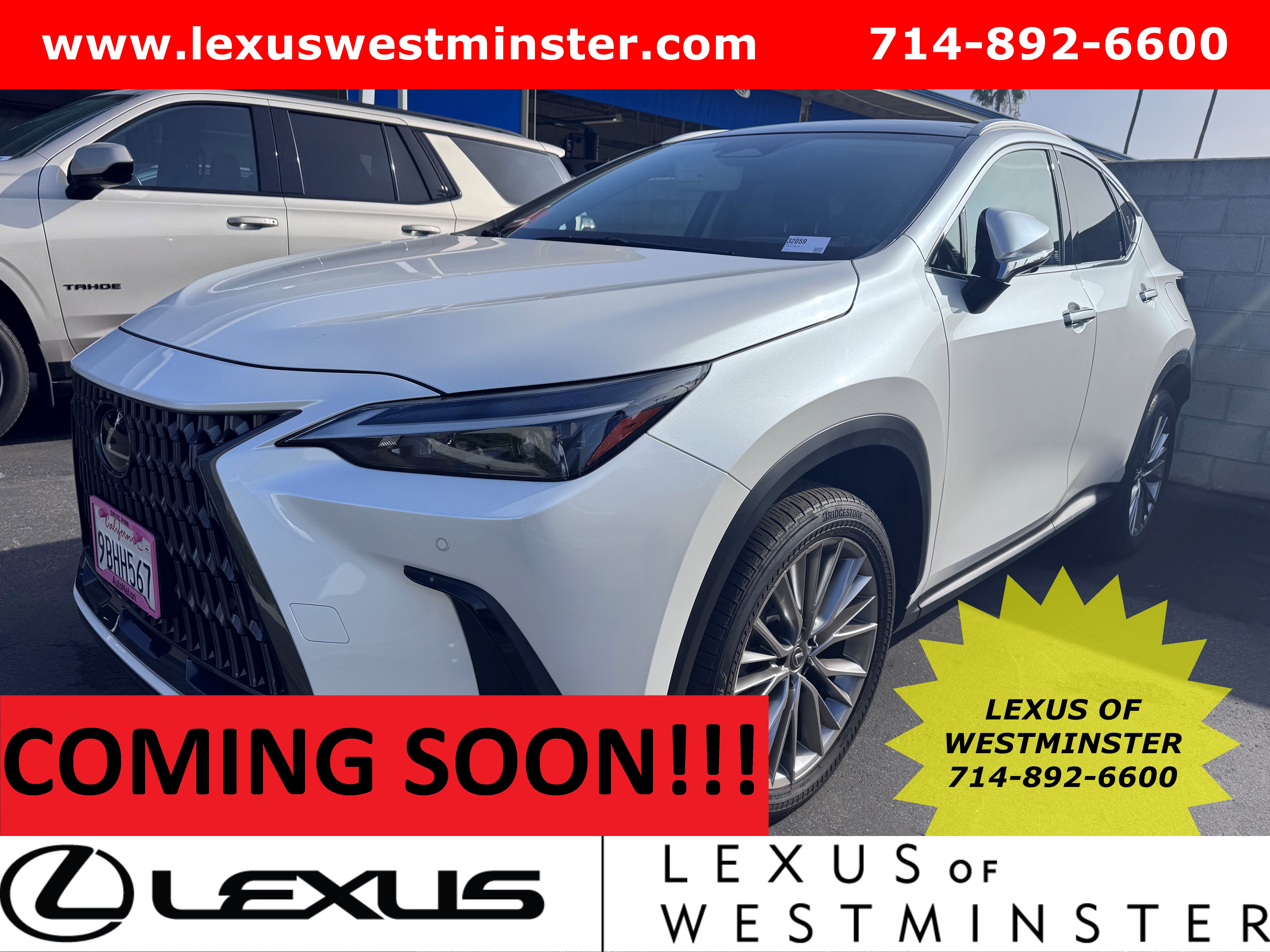 2022 Lexus NX 350's photo