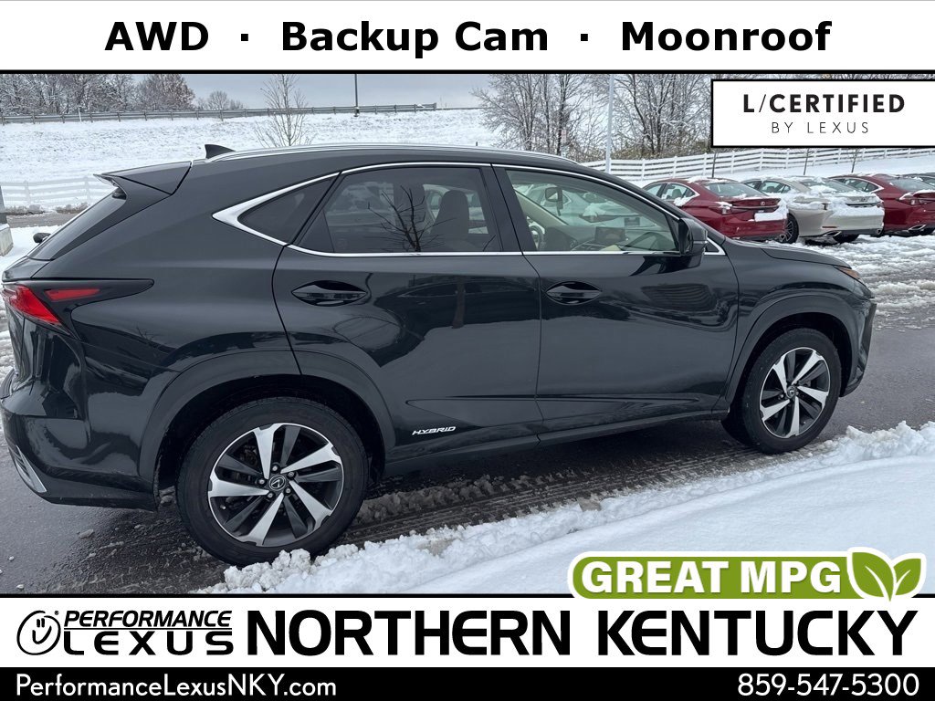 2020 Lexus NX Hybrid 300h's photo