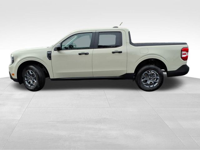 2025 Ford Maverick XLT photo 3