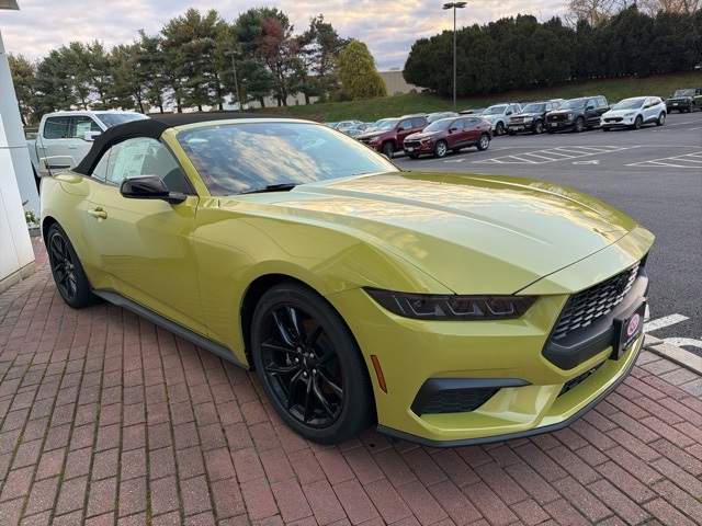 2025 Ford Mustang EcoBoost's photo