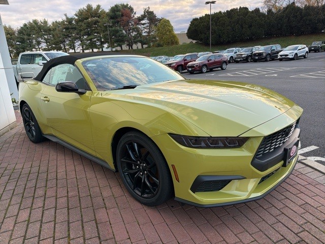 2025 Ford Mustang EcoBoost's photo