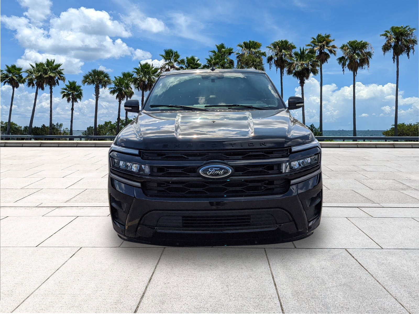 2023 Ford Expedition Limited photo 3
