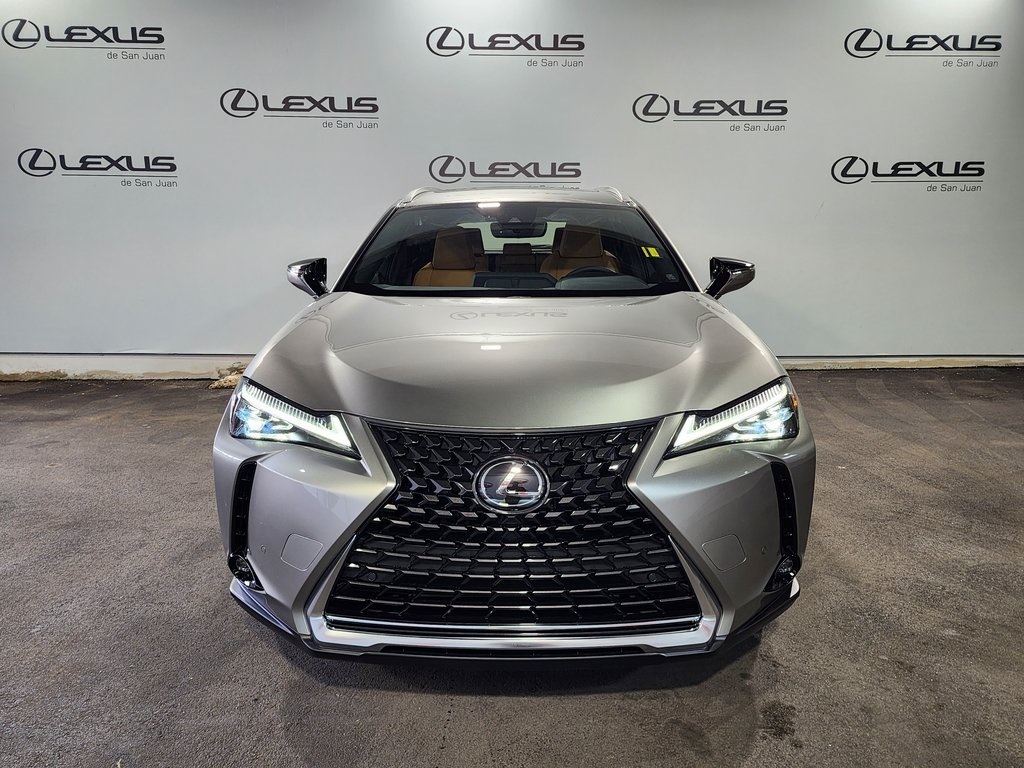 2025 Lexus UX photo 2