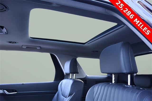 2023 Hyundai Palisade Limited photo 3